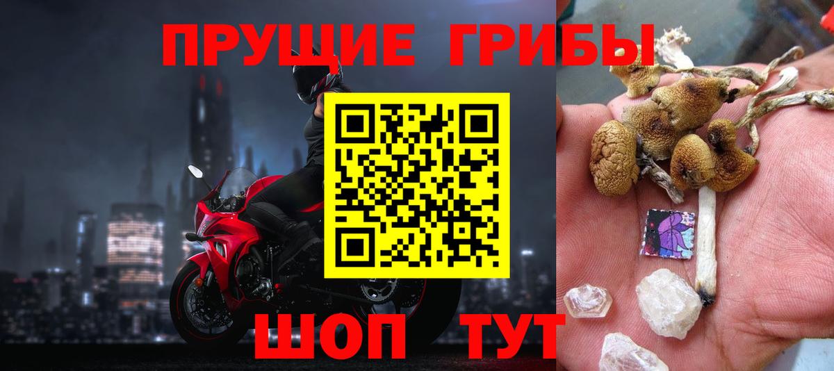 Галлюциногенные грибы Magic Shrooms  Псилоцибиновые грибы Cubensis  Вход с VPN  как найти закладки  Воронеж 